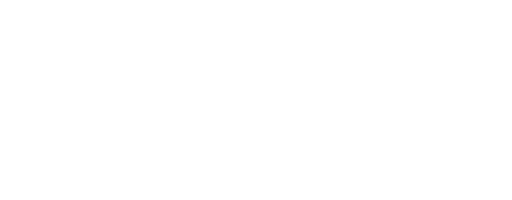 logo-vidanim+